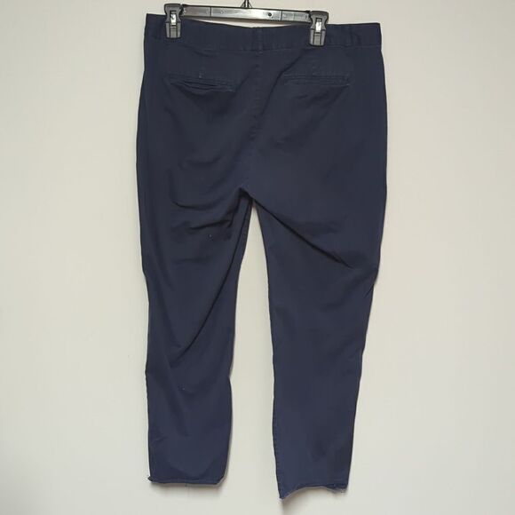 Banana Republic Factory Blue Chino Pants - Picture 4 of 7